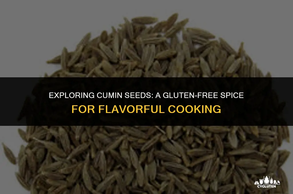 is cumin seed gluten free