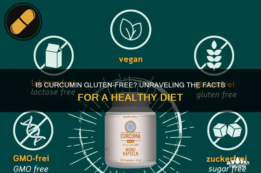 is curcumin gluten free