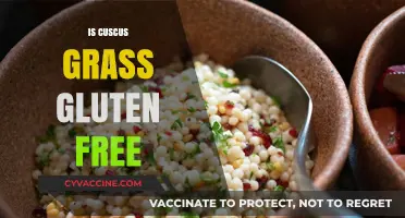Exploring Cuscus Grass: A Gluten-Free Alternative for Your Diet