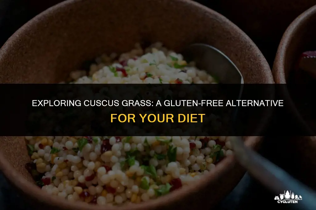 is cuscus grass gluten free