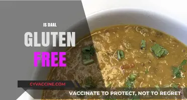 Is Daal Gluten-Free? A Complete Guide to Lentil Safety