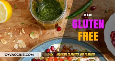 Is Dahi Gluten-Free? Understanding Its Ingredients and Benefits