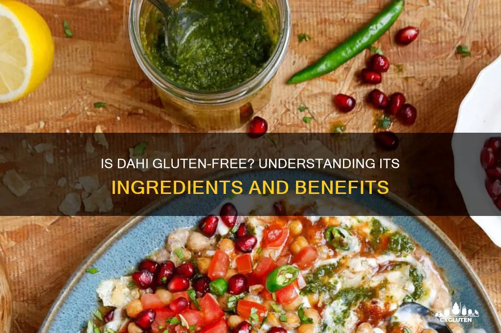 is dahi gluten free