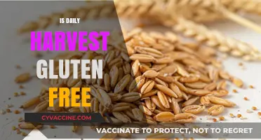 Exploring Daily Harvest: A Gluten-Free Haven or Hidden Pitfalls?