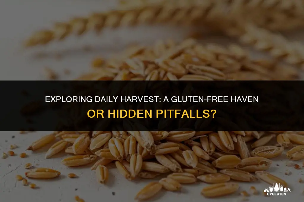 is daily harvest gluten free