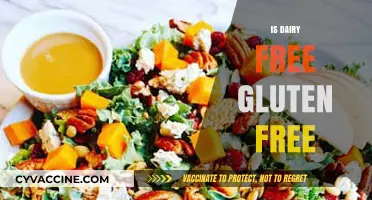 Exploring the Connection: Is Dairy-Free Always Gluten-Free?