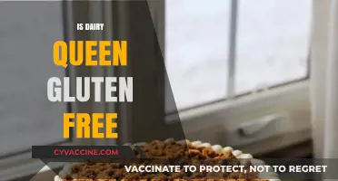 Is Dairy Queen Gluten-Free? Exploring Menu Options for Celiac Diners