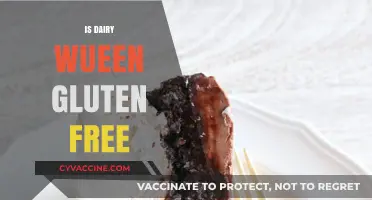 Exploring Dairy Queen's Menu: A Guide to Gluten-Free Options