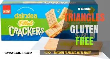 Deliciously Safe: Are Dairylea Triangles Gluten-Free?