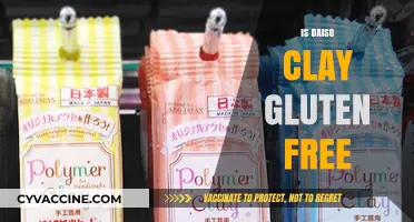 Unveiling the Truth: Is Daiso Clay Safe for Gluten-Free Crafting?
