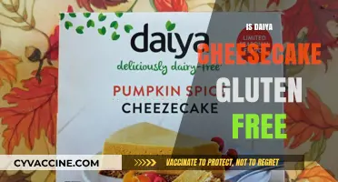 Deliciously Gluten-Free: Exploring Daiya Cheesecake Options