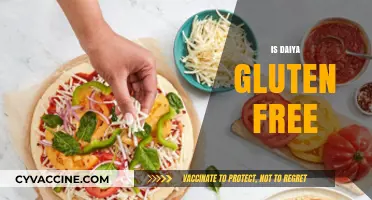 Is Daiya Gluten-Free? A Comprehensive Guide to Their Products