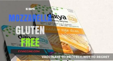 Daiya Mozzarella: A Gluten-Free Cheese Alternative for Your Diet