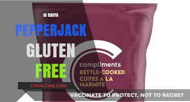 Exploring Gluten-Free Options: Daiya Pepperjack Cheese Alternative