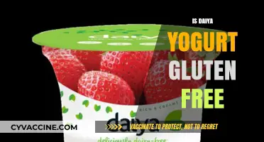 Deliciously Dairy-Free: Exploring Daiya Yogurt's Gluten-Free Goodness