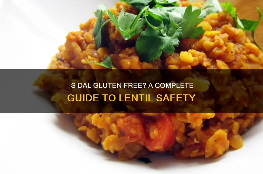is dal gluten free