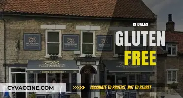 Is Dales Gluten Free? Exploring the Ingredients and Options