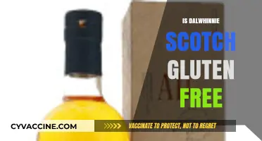 Exploring Dalwhinnie Scotch: A Guide to Its Gluten-Free Status
