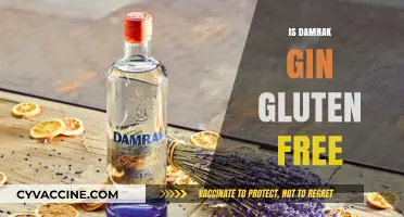 Exploring Damrak Gin: A Gluten-Free Spirit for All