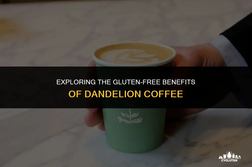 is dandelion coffee gluten free