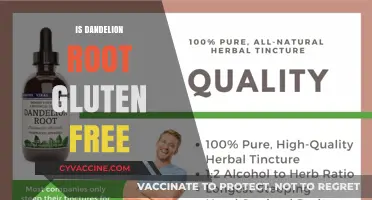 Exploring the Gluten-Free Benefits of Dandelion Root