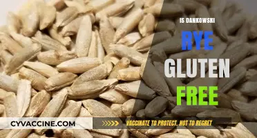 Exploring Gluten-Free Options: Is Dankowski Rye the Answer?