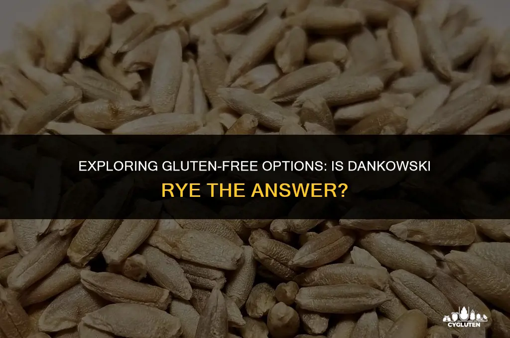 is dankowski rye gluten free
