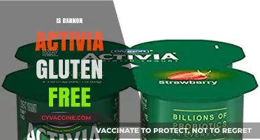 Exploring Dannon Activia: A Gluten-Free Yogurt Option?