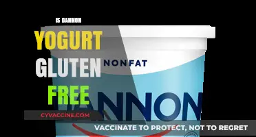 Dannon Yogurt: A Gluten-Free Delight for Your Taste Buds