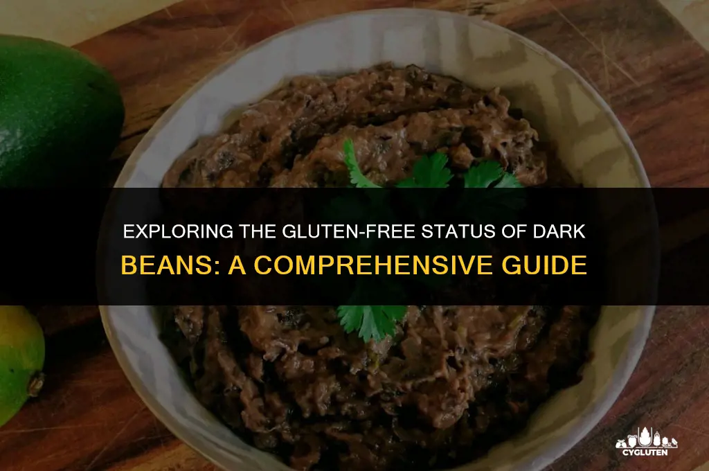 is dark beans gluten free
