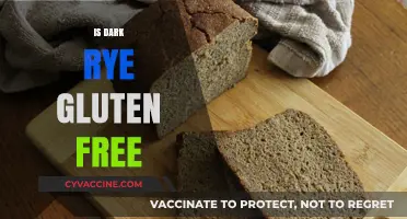 Exploring the Gluten-Free Status of Dark Rye: Facts and Myths