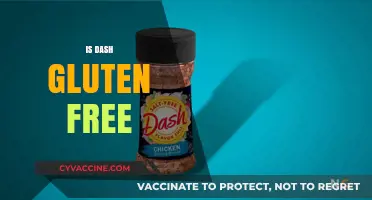 Is Dash Gluten-Free? Uncovering the Truth About This Seasoning Blend
