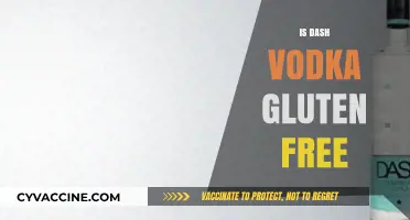 Sipping Safely: Is Dash Vodka a Gluten-Free Choice?