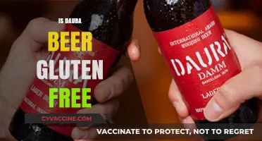 Exploring Gluten-Free Options: Is Daura Beer Safe for Celiacs?