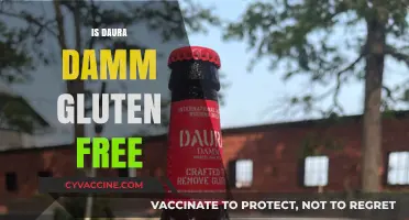 Is Daura Damm Gluten-Free? A Celiac-Friendly Beer Review
