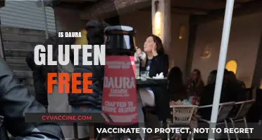 Is Daura Gluten-Free? Exploring This Craft Beer's Celiac-Friendly Status