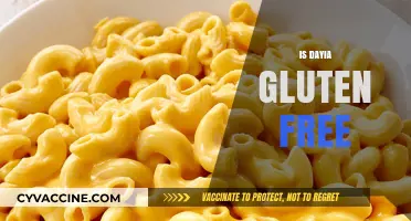 Is Daiya Gluten-Free? A Comprehensive Guide to Dairy-Free Cheese