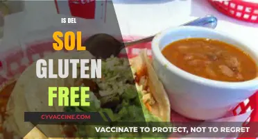 Exploring Gluten-Free Options: Is Del Sol the Answer?