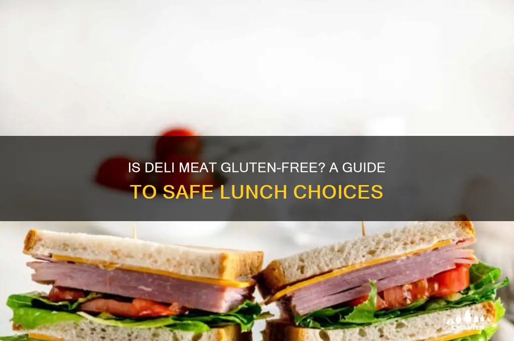 is deli meat gluten free
