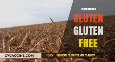 Exploring the Myth: Is Denatured Gluten Truly Gluten-Free?