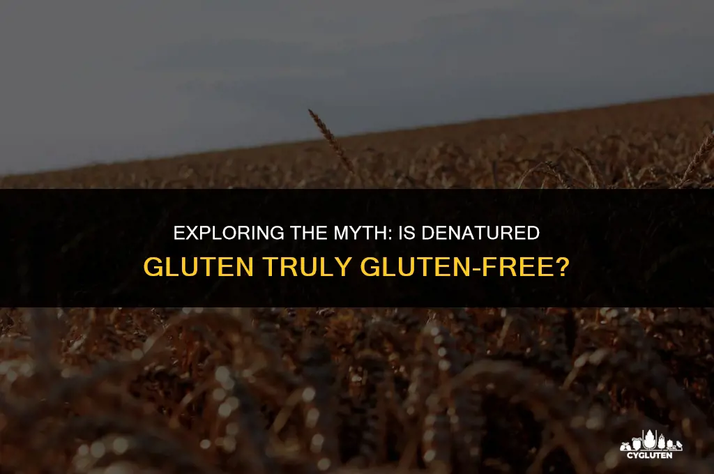 is denatured gluten gluten free
