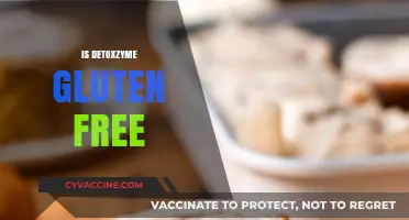 Is Detoxzyme Gluten-Free? A Comprehensive Guide to Its Ingredients