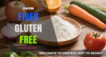 Exploring Dextrin Fiber: A Gluten-Free Alternative for Digestive Health