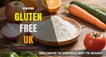 Exploring Dextrin: A Gluten-Free Option in the UK?