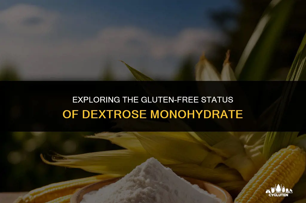 is dextrose monohydrate gluten free