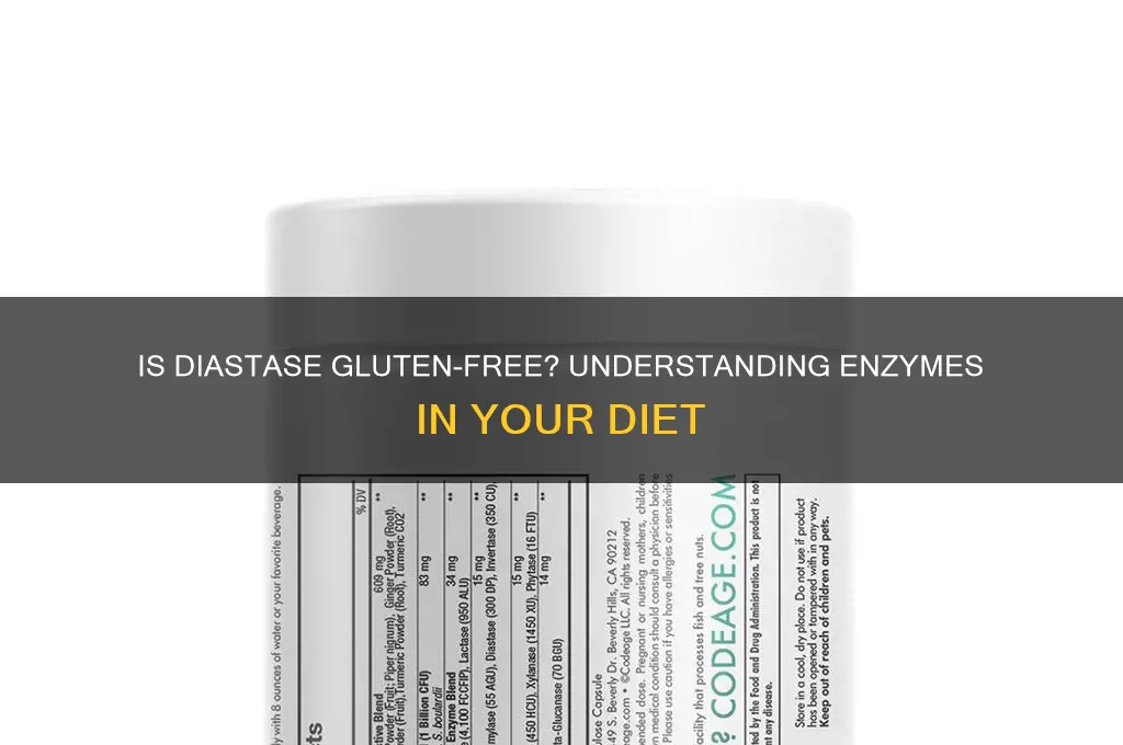 is diastase gluten free