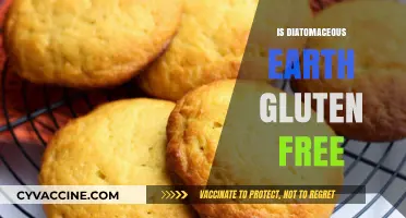 Exploring the Gluten-Free Properties of Diatomaceous Earth
