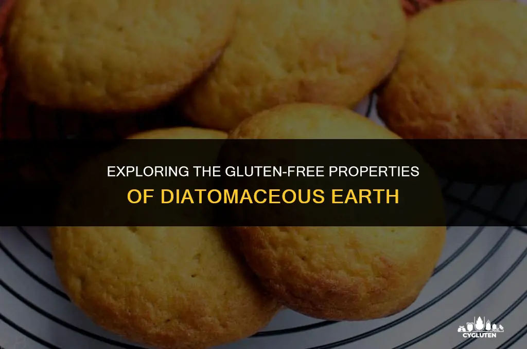 is diatomaceous earth gluten free