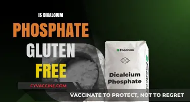 Exploring Gluten-Free Options: Dicalcium Phosphate's Role in Diet