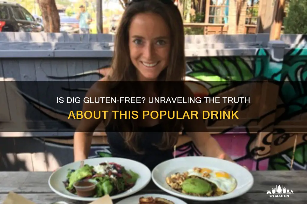 is dig gluten free